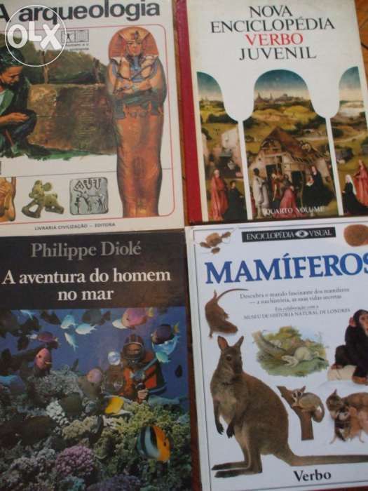 Livro a  arqueologia