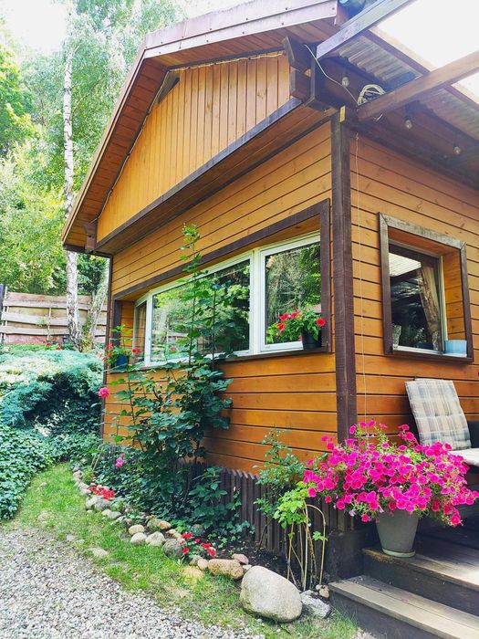 Mały raj nad jeziorem: domek, piękny ogród, sauna, łódka, wokół las.