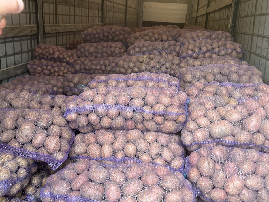 Продам картоплю та моркуву