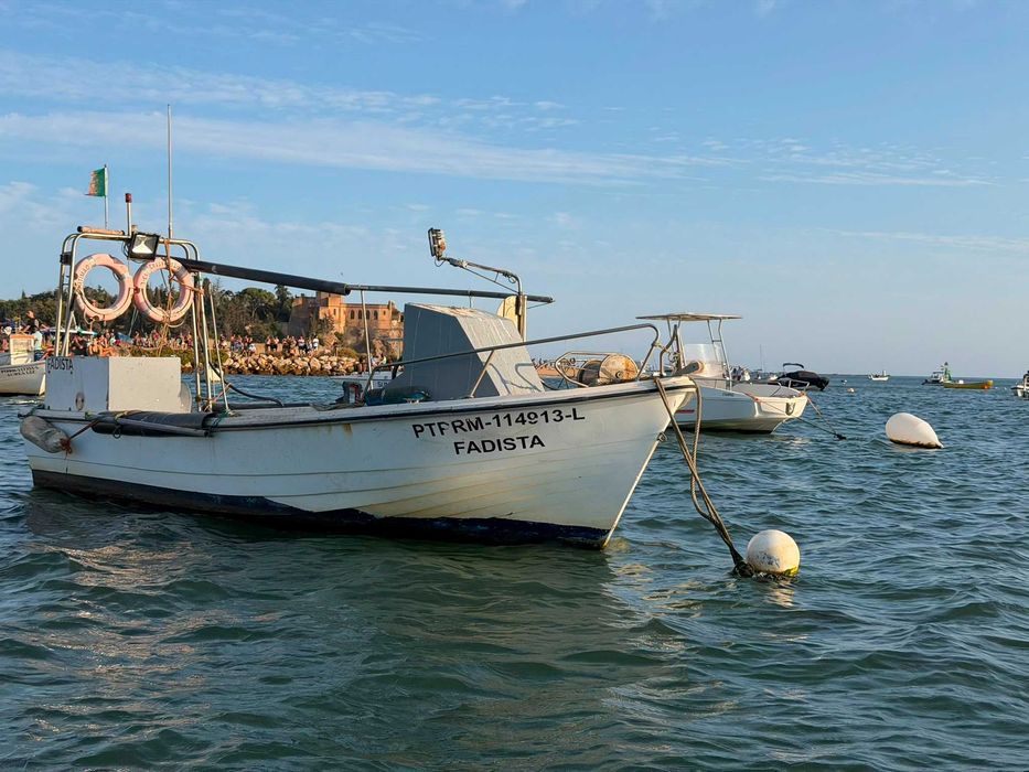 Embarcação de Pesca Profissional 7 m – Licenças Incluídas