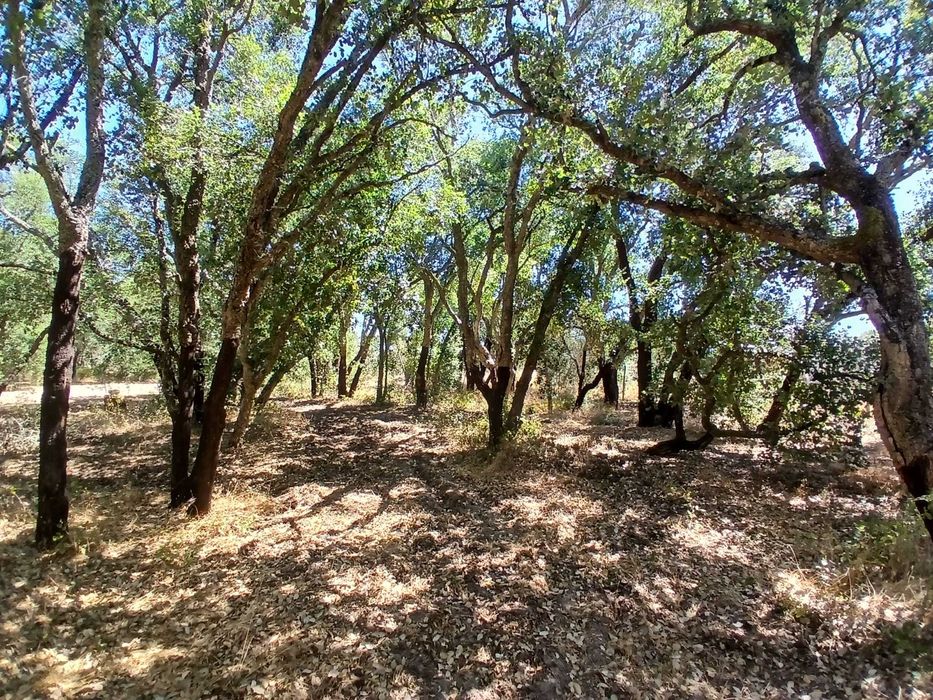 Terreno para venda em Vale de Santarém com construção iniciada