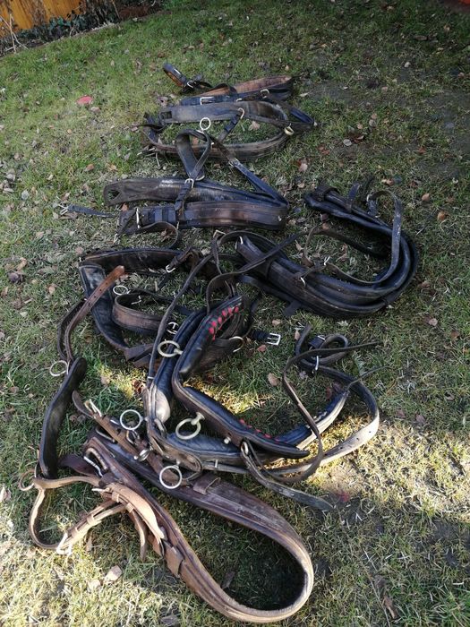 Elementy uprzęży konnej