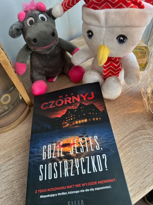 Max Czornyj - Gdzie jesteś siostrzyczko? Książka