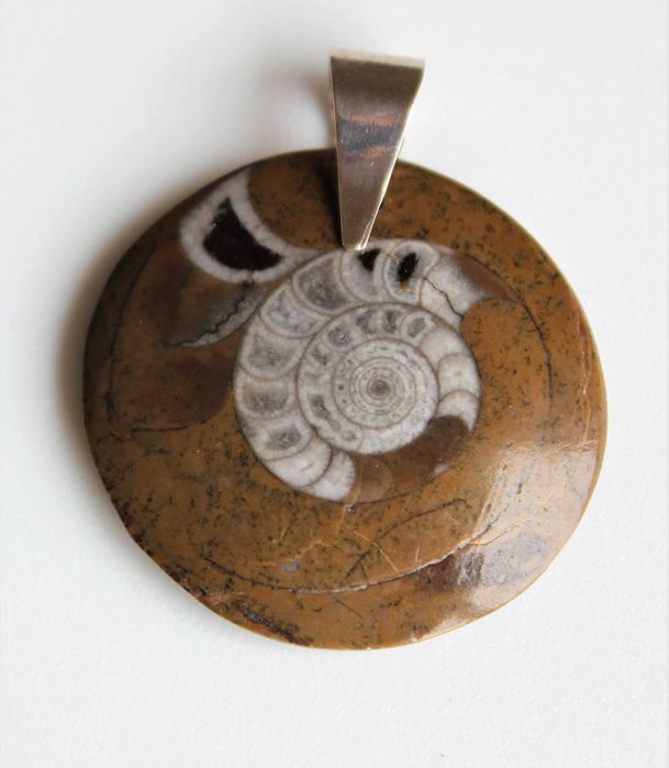 Pendente elegante e com valor Histórico, Amonite