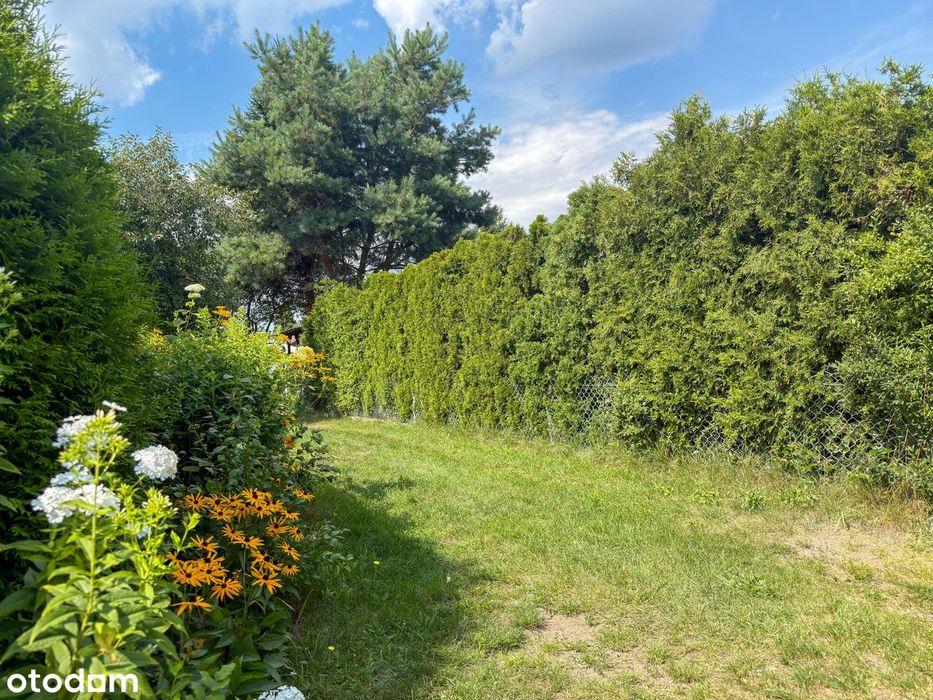 Zdjęcie 3