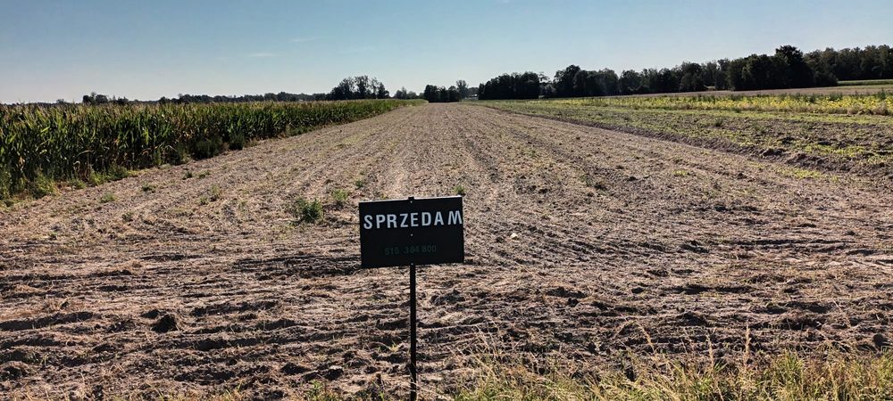 Dzialka rolno-budowlana 1,72 ha – Rudno Trzecie - Widok 2