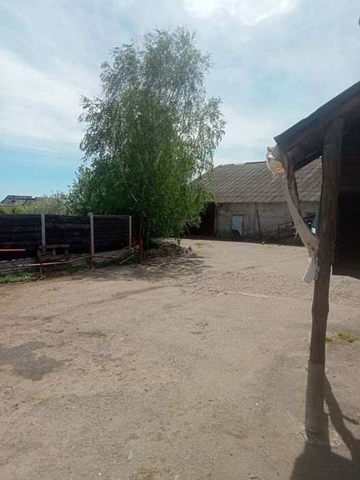 Бізнес по заготівлі мʼяса, забійний пункт( бойня)