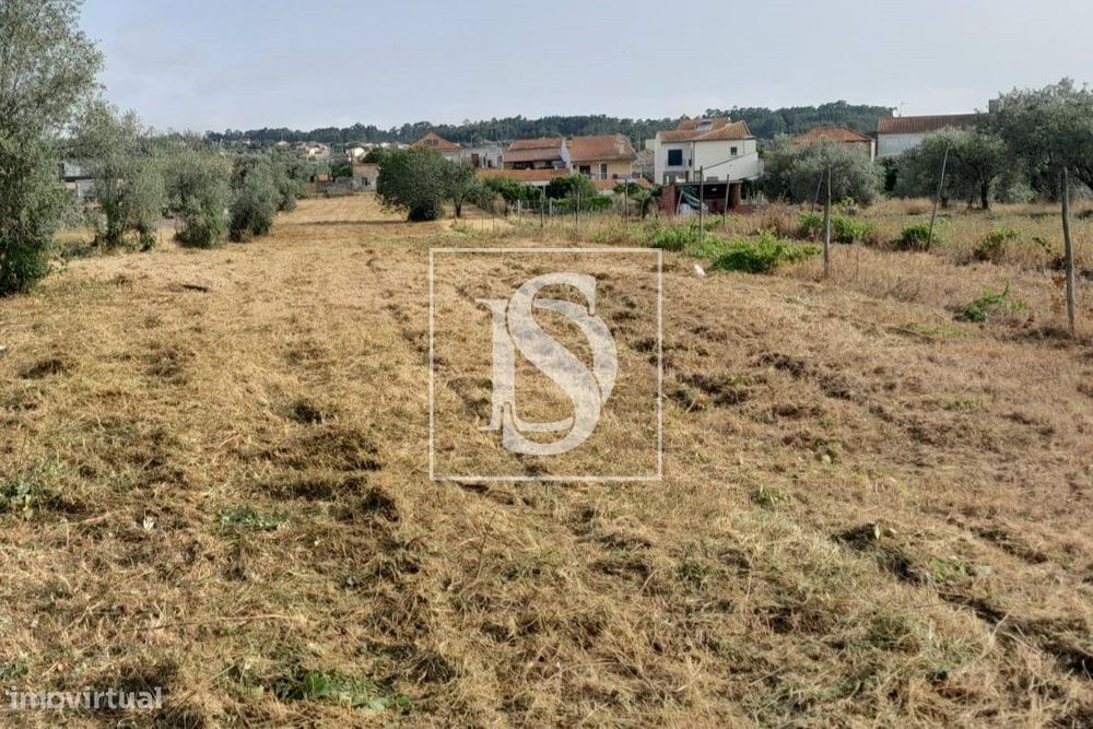 Terreno  Venda em Mealhada, Ventosa do Bairro e Antes,Mealhada — Mealhada, Ventosa Do Bairro E Antes, Aveiro