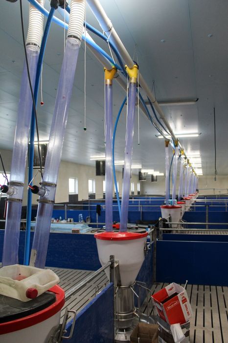 Podsufitka do Budynków Inwentarskich i Magazynowych Styrodur XPS AGRO