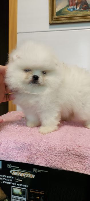 Кукляшная девочка