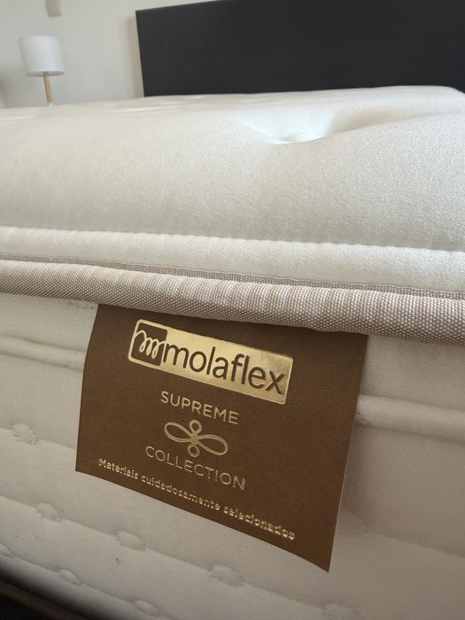 Colchão Molaflex Eternity Multi  Supreme 140x200