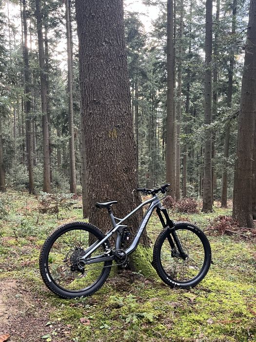 Canyon strive al 6.0 custom