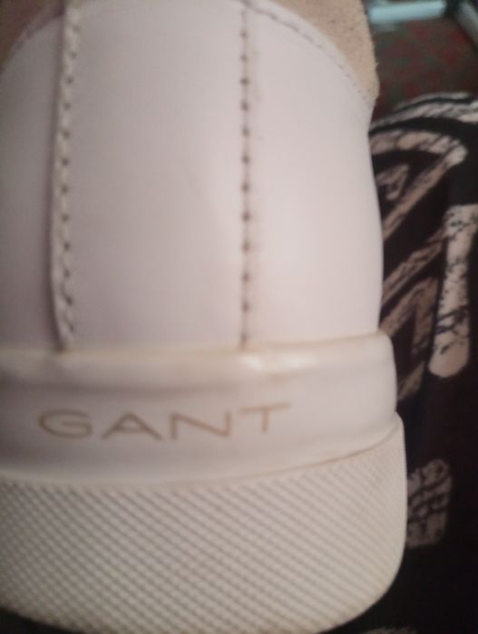 Кросівки жіночі Gant Avona
