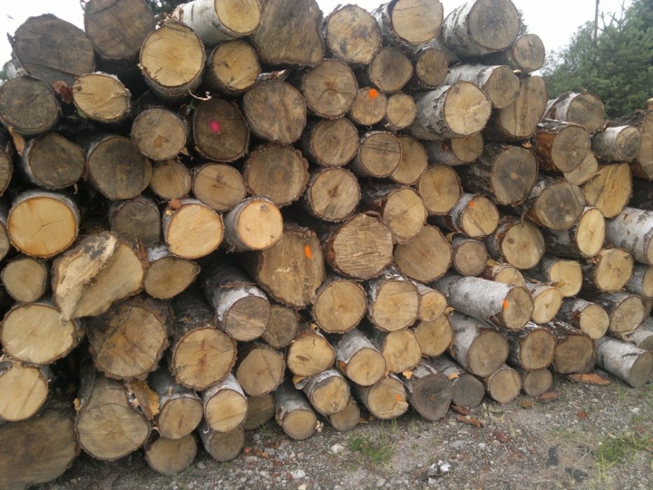 Drewno stosowe buk, brzoza, grab, wałki kominkowe opałowe metry