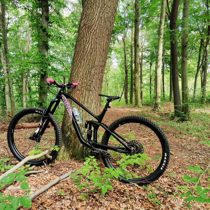 Cube stereo ONE 77 pro XL