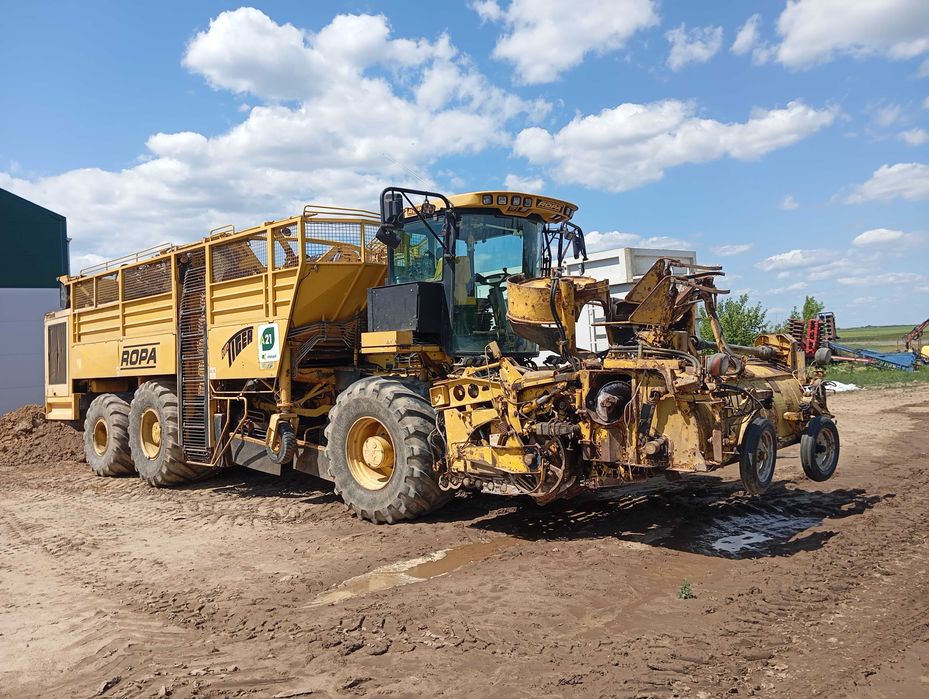 Kombajn do buraków ROPA Euro-Tiger