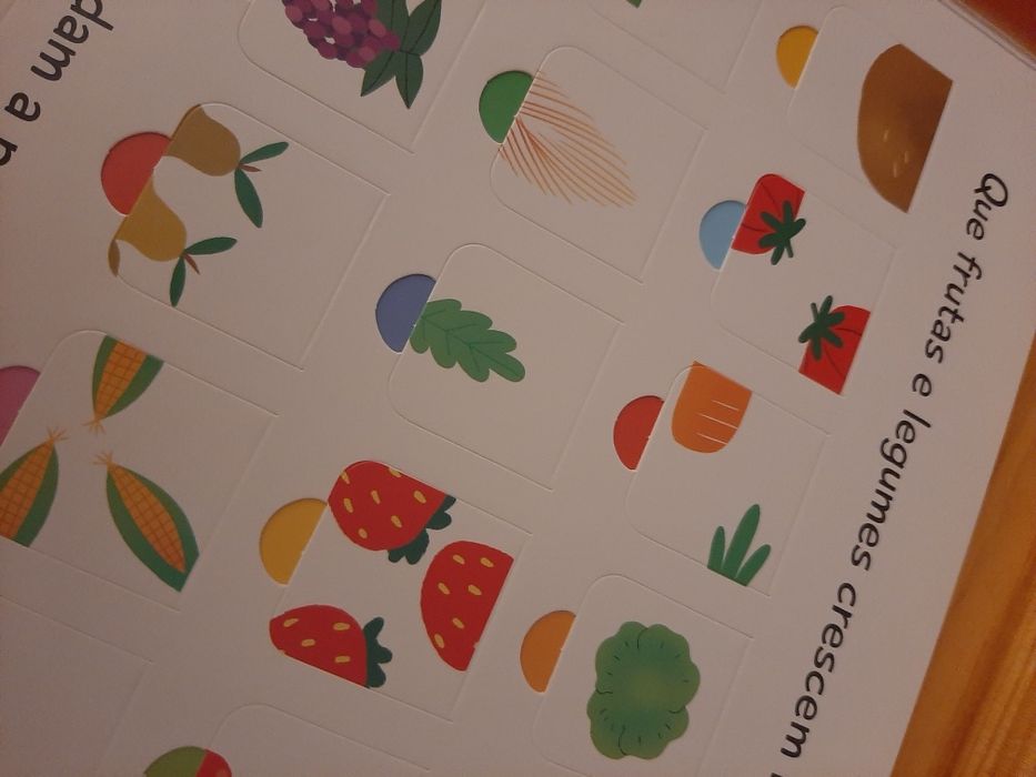 Livro Quinta 100 Janelinhas para Conhecer Novo