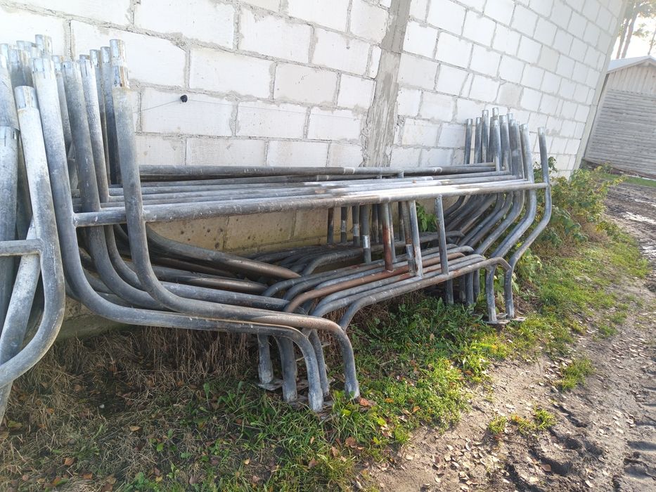 Przegrody stanowiskowe pinezki grzybki dla bydła