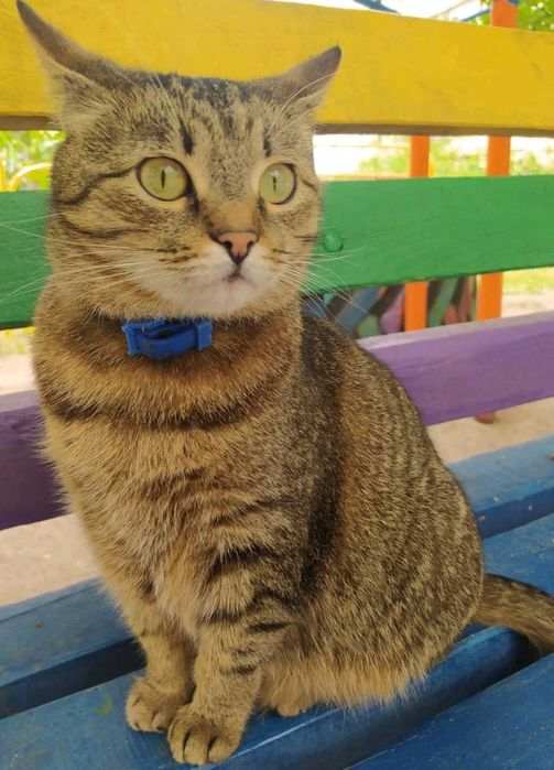 Маша терміново шукає родину