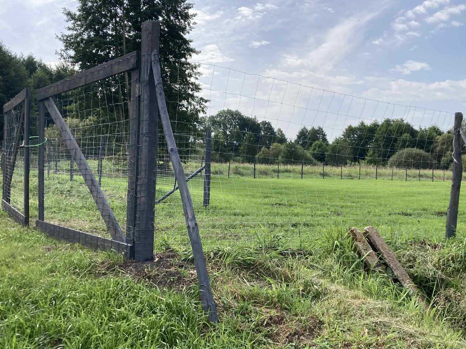 20 zł/mb - Ogrodzenie Twojego terenu — siatką leśną!