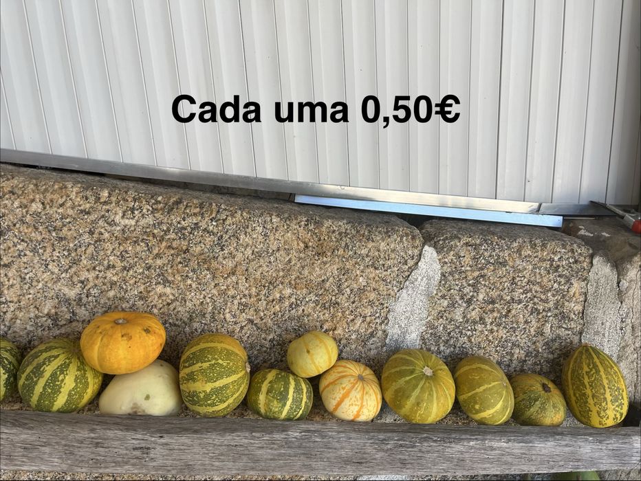 vende se aboboras e cabaças