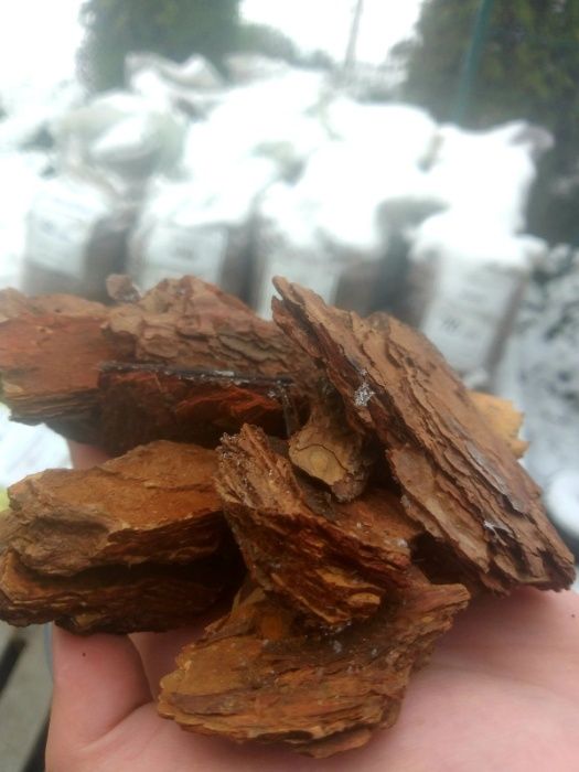 Кора соснова Середня (для мульчування)