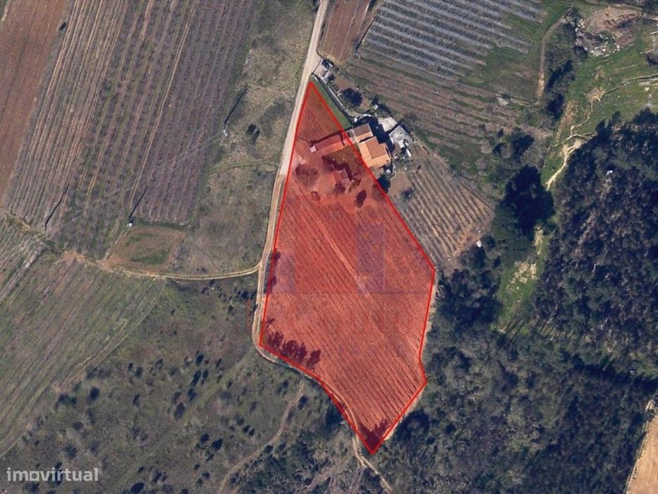 Casa Antiga para restauro com terreno