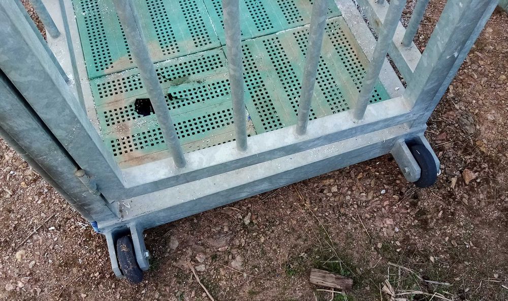 Balança para animais - Pestronix - pesa até 1500 kg