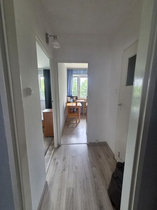 Mieszkanie 2 pokojowe na wynajem