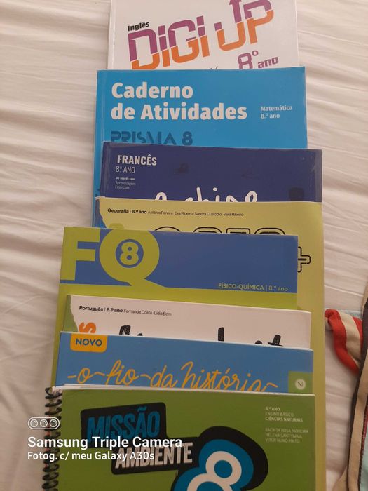 Livros Escolares/Cadernos de atividades do 8 ano