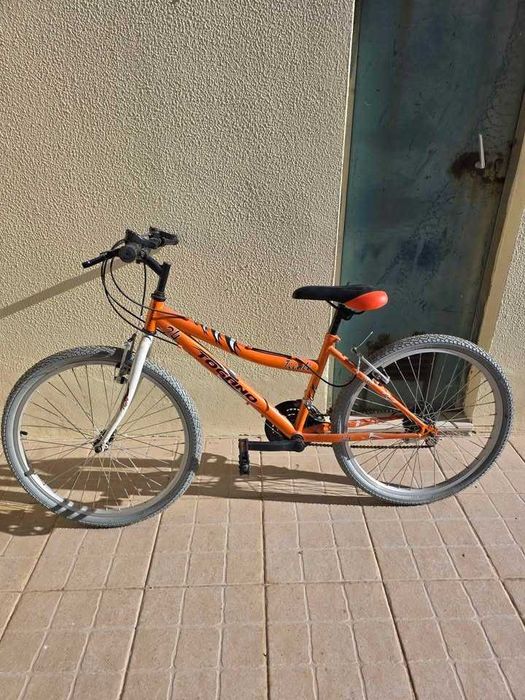 Bicicleta a Pedal