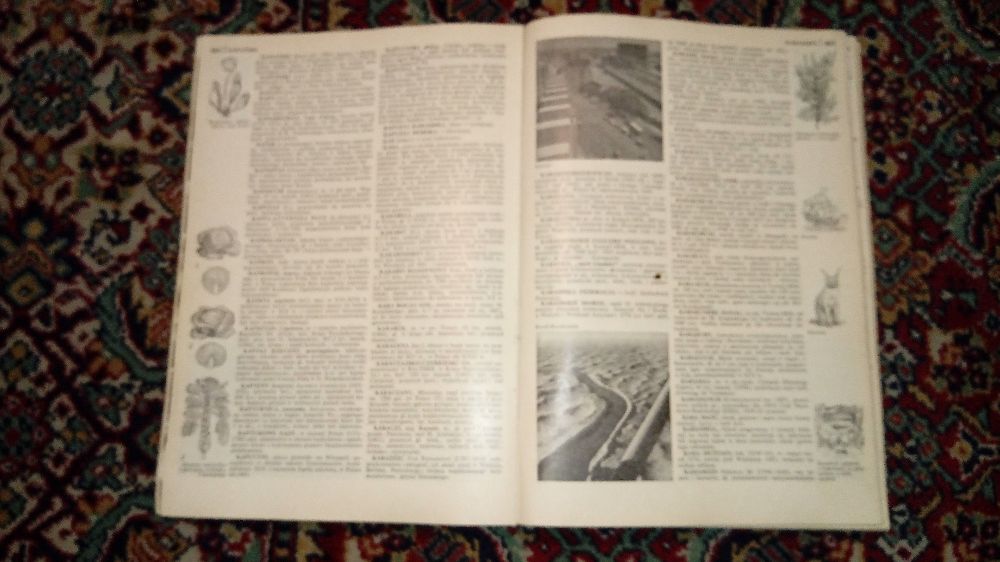 Encyklopedia Powszechna PWN mała
