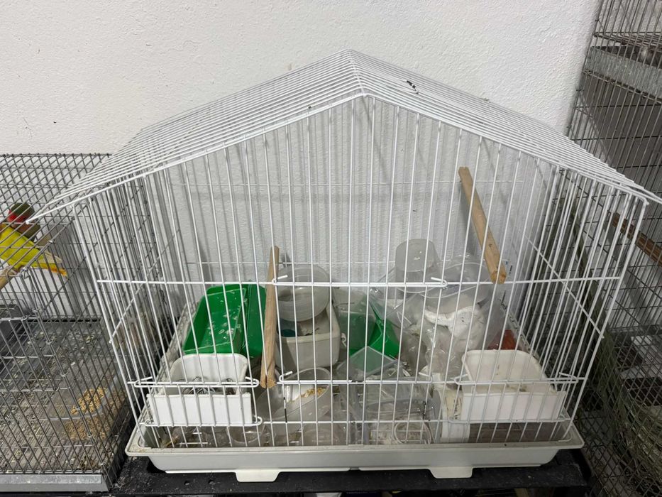 Gaiola galvanizada e gaiola branca