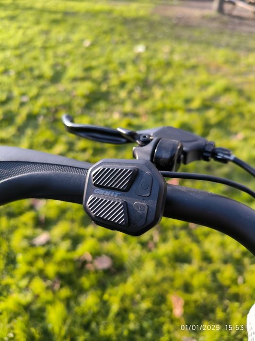 Bicicleta Giant Ease E