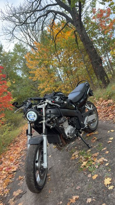 Triumph