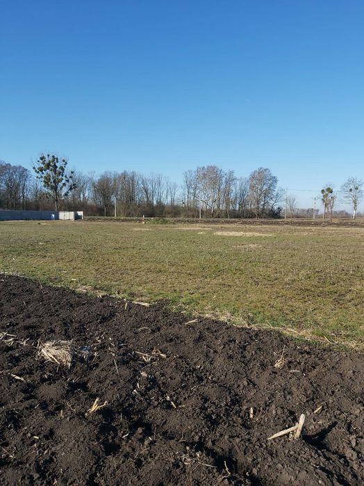 Działka  zagrodowa.