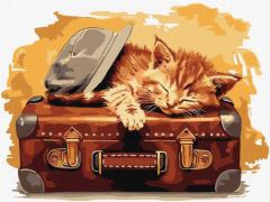 Malowanie po numerach - Gotowy do podróży 30x40cm Ideyka pudełko,