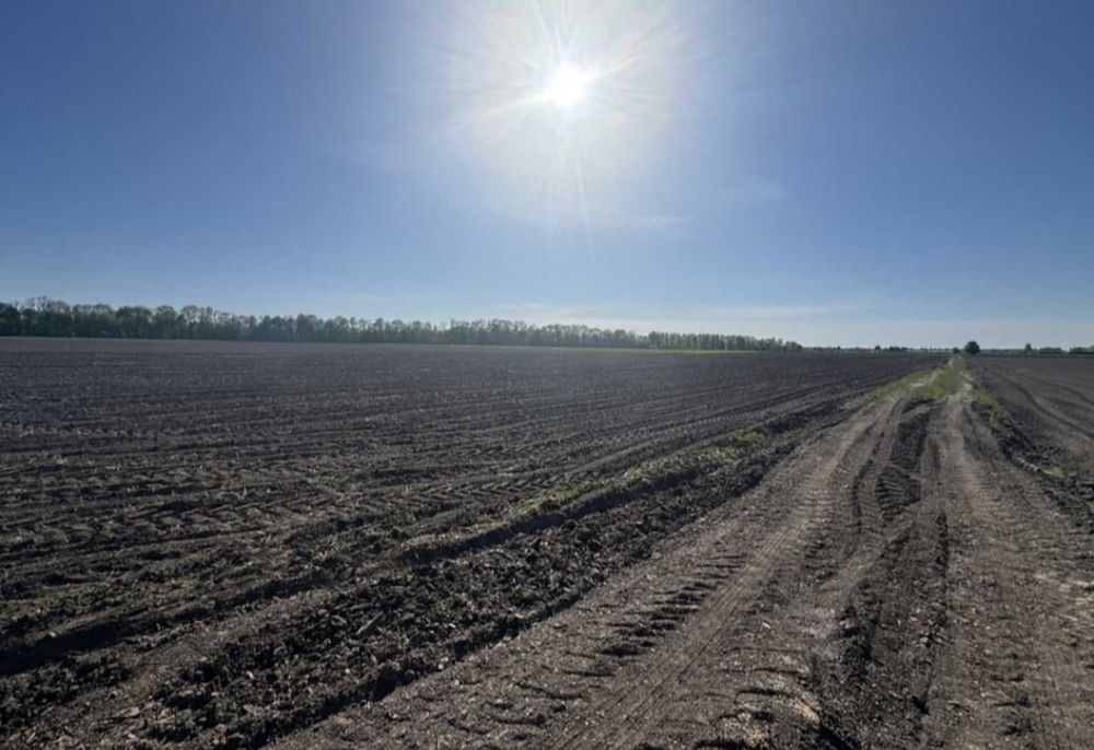 Продається земельна ділянка в Гавришівці