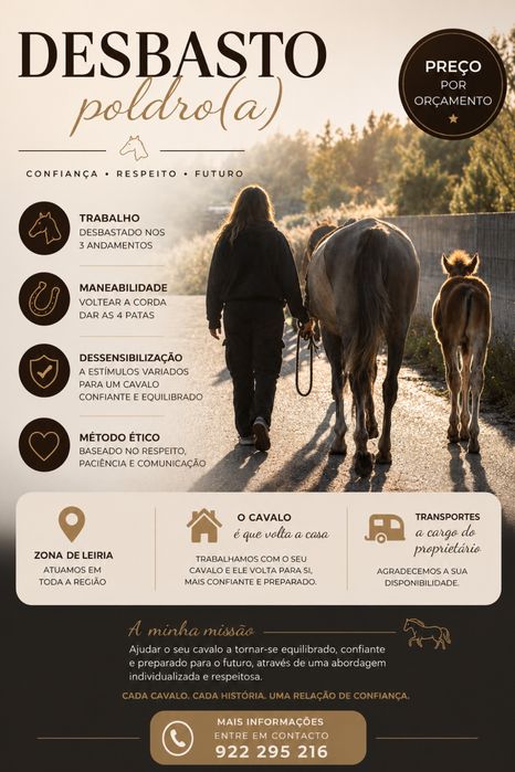 Breaking in colts, fillies, mares, and horses