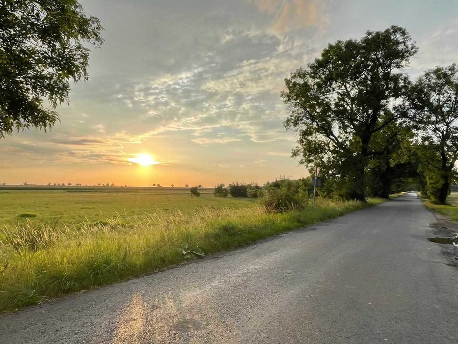 działki (pod zabudowę jednorodzinną) na sprzedaż