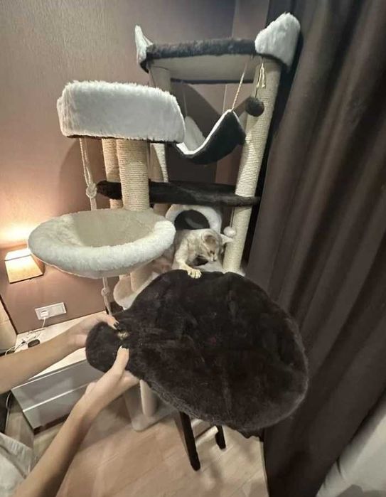 Когтеточка, игровой комплекс для котов