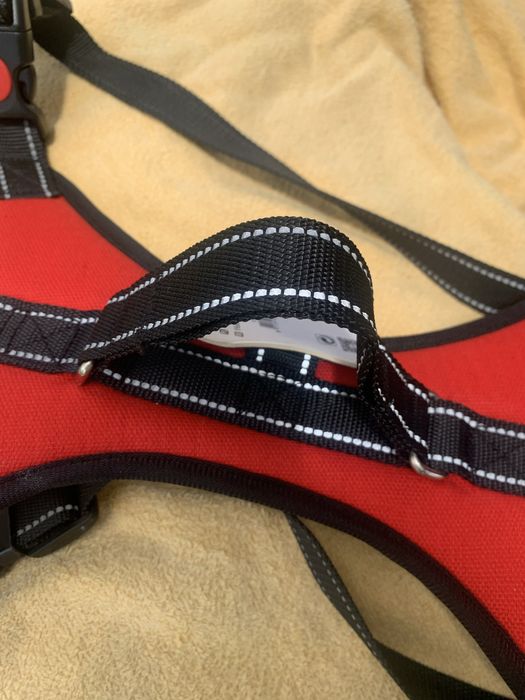 Nova-Coleira de peito, T Medio para Cao.