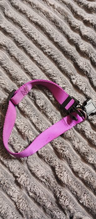 Ошейник для собак середніх порід