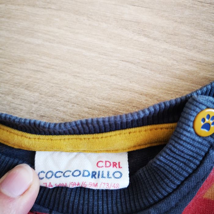 Bluzy dla bliźniaków rozmiar 74