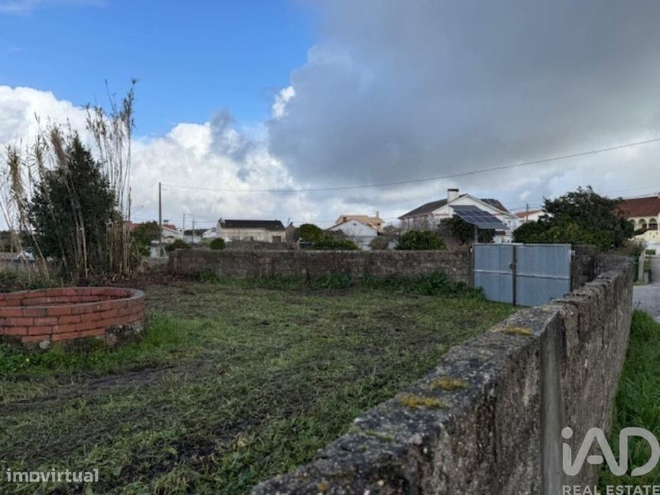 Terreno em Monte Real e Carvide