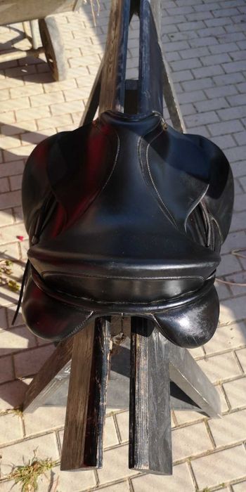 Sela Dressage PFIFF Amaretto 16 1/2''