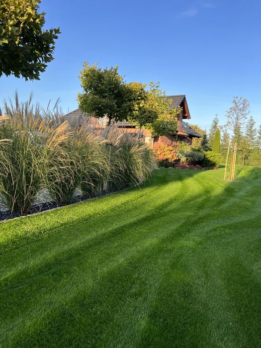 Zakładanie ogrodów , trawników , systemy nawadniania , trawa z rolki