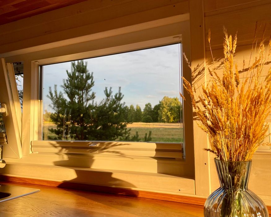 Domek na wynajem w lesie z jacuzzi – Tiny House Bory Tucholskie