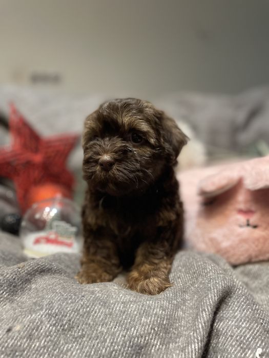 Aria- słodka dziewczynka