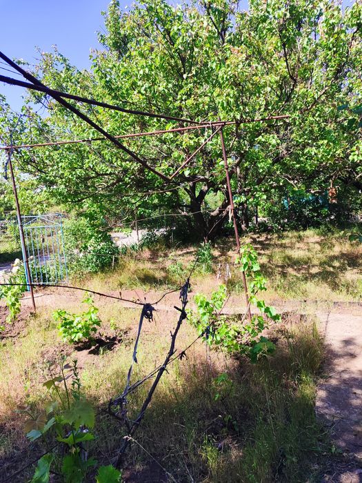 Продам дачу в черте города